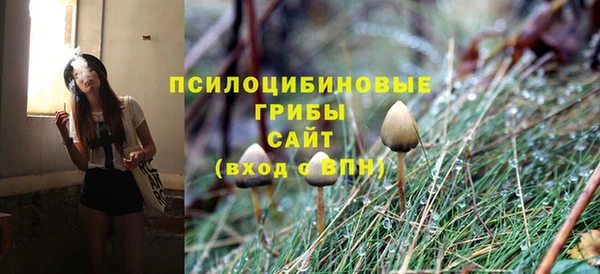 гидра Беломорск