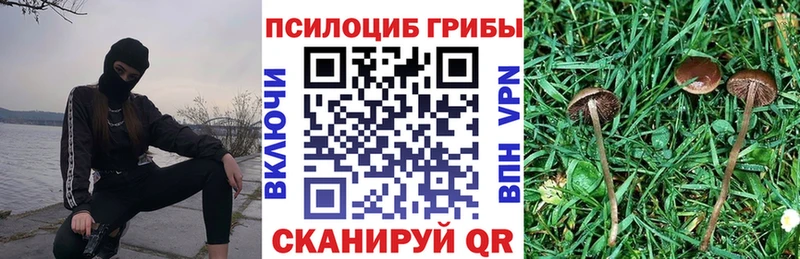 мега ONION  Гатчина  Псилоцибиновые грибы GOLDEN TEACHER  где можно купить  