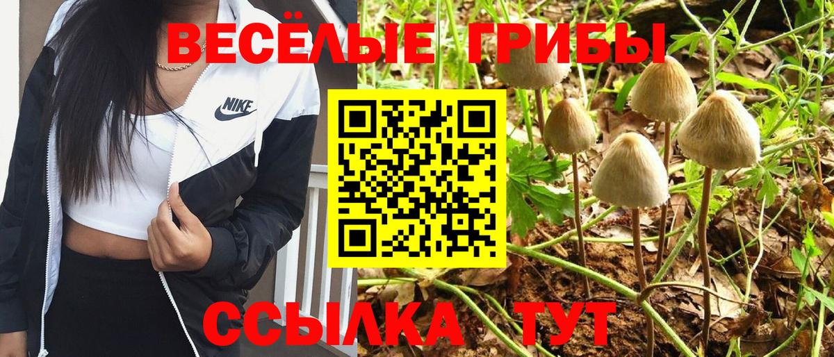 Гатчина  Галлюциногенные грибы мухоморы  Вход с VPN 