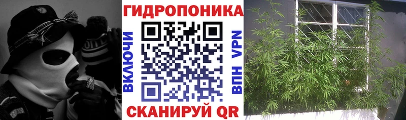 площадка формула  Гатчина  МАРИХУАНА ГИДРОПОН 